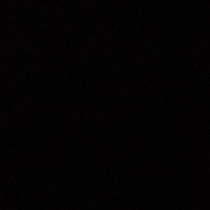 Meet your Posher, Elsa